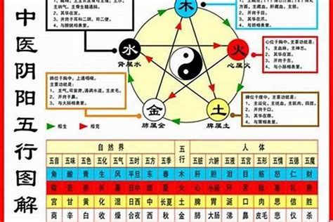 1984五行|【84年次五行】1984年次五行屬什麼？屬鼠命運分析